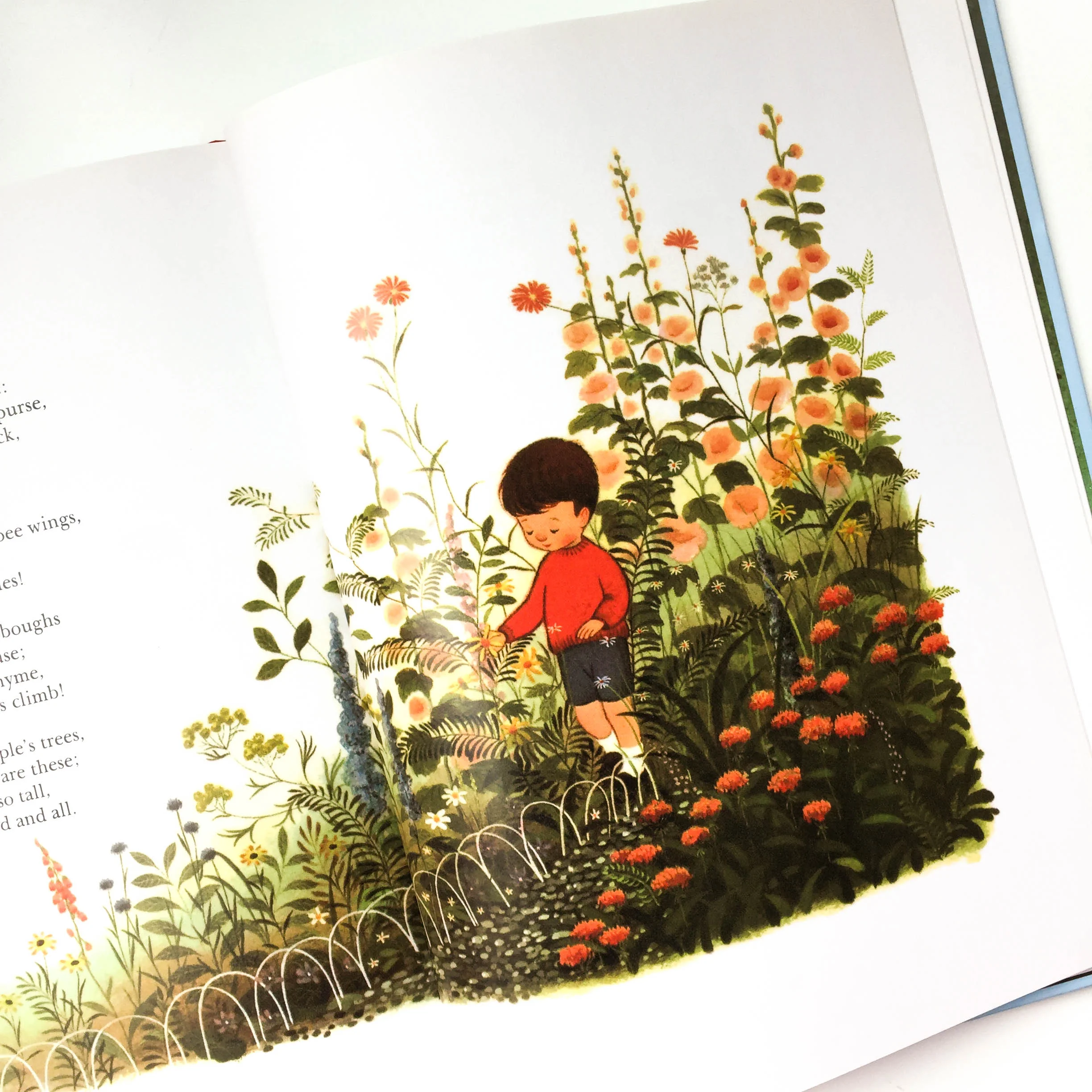 botanicals-22.jpg
