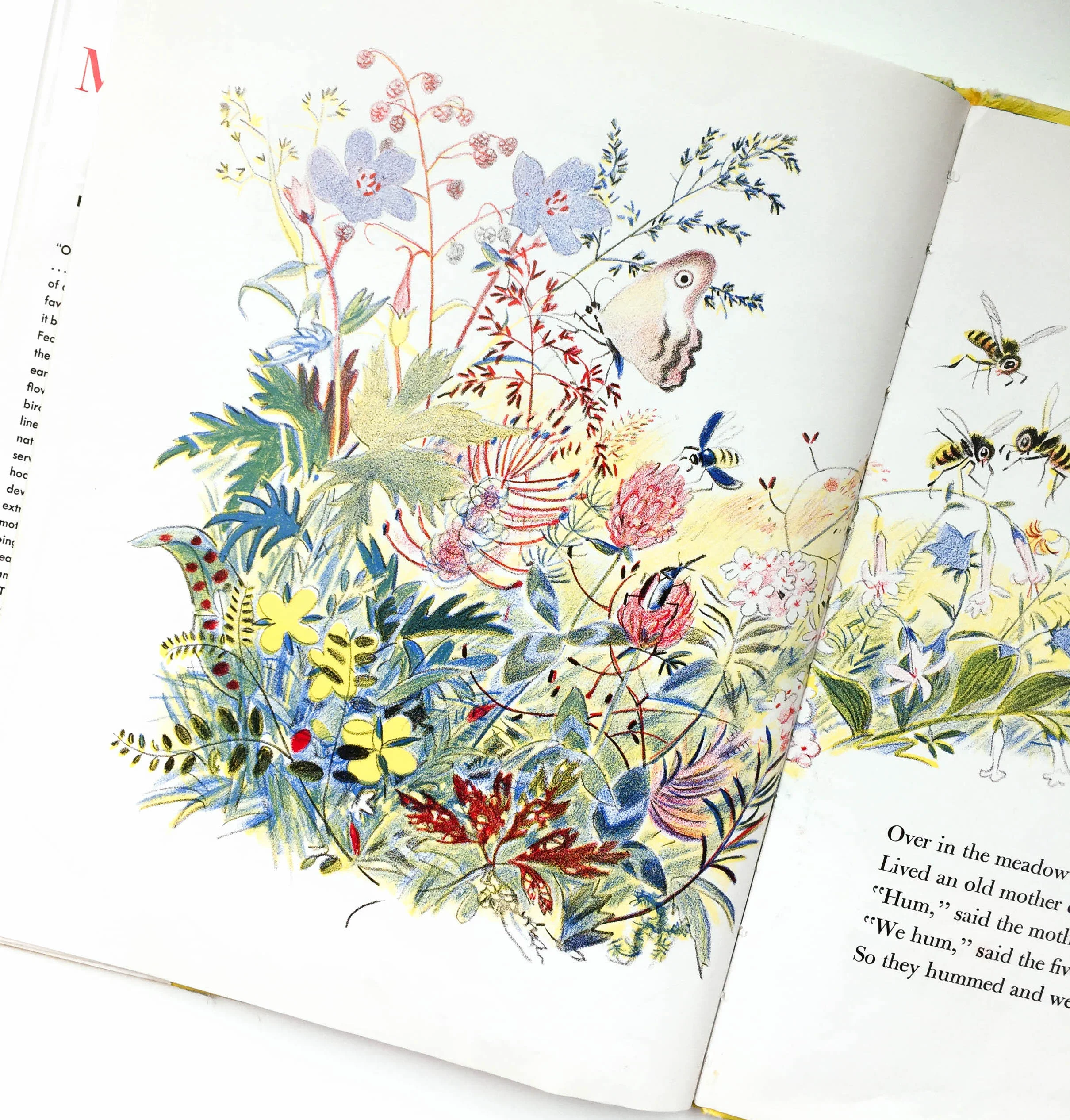 botanicals-29.jpg