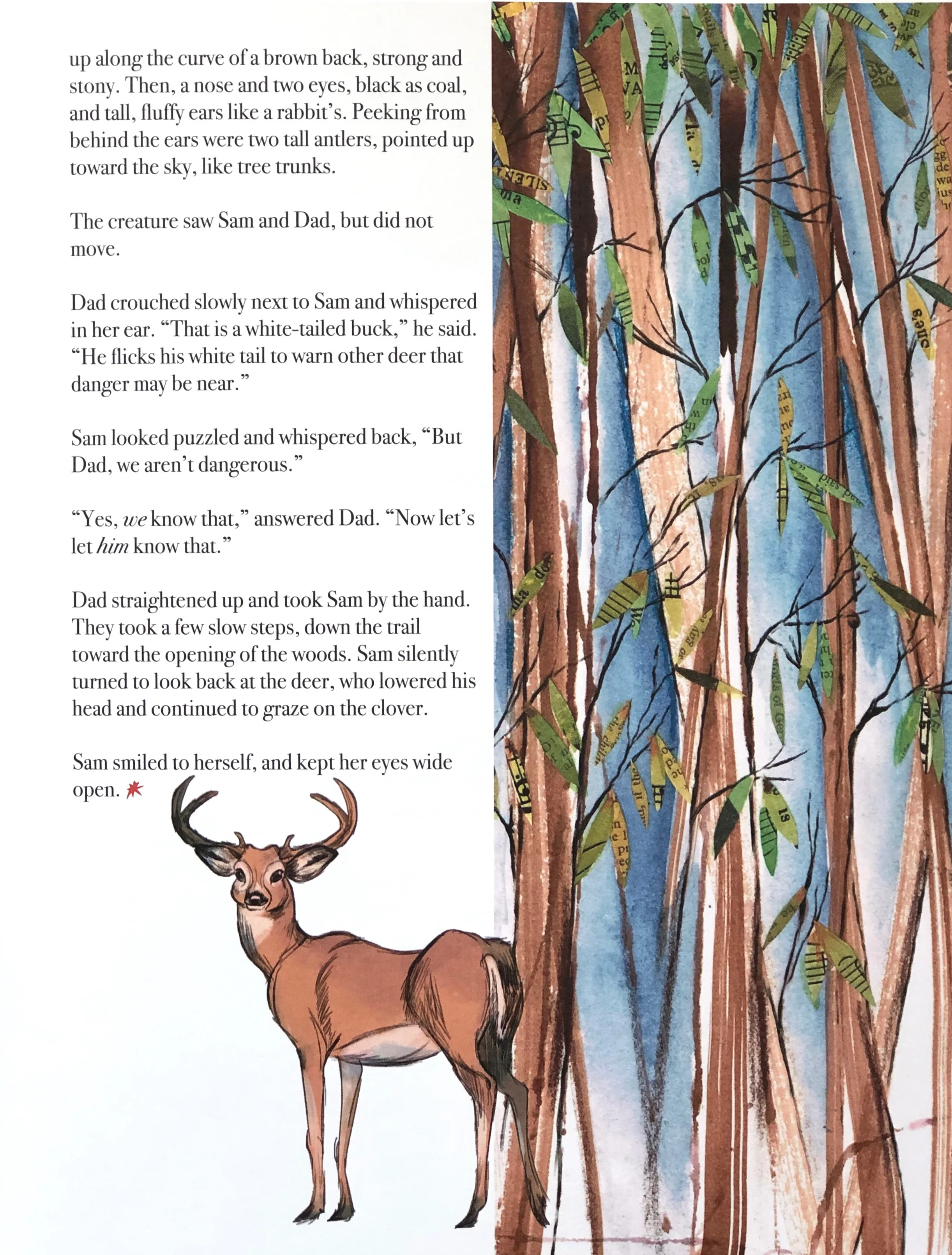 Root-and-star-4.jpg