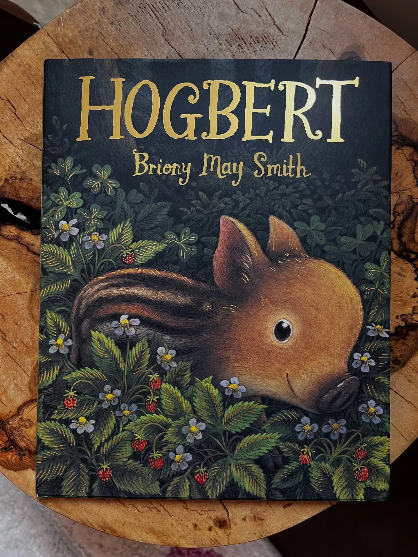 The ART in this book! HOGBERT by @brionymaysmith is such a charming work of picture book art from @candlewickpress. The story is reminiscent of classic epic tales and even classic picture books like HOW THE SUN WAS BROUGHT BACK TO THE SKY by #MirraGi