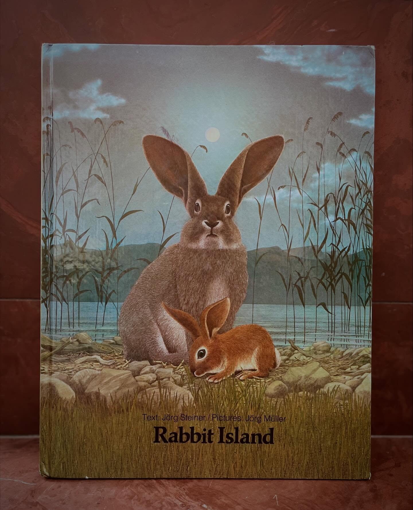 &ldquo;Factories that produce chocolate are chocolate factories. Factories that make guns are gun factories. But the factory in this story is a rabbit factory. It has no chimney and makes very little noise.&rdquo; 

This is probably one of the most b