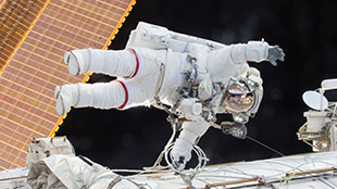 A Year in space thumb 2
