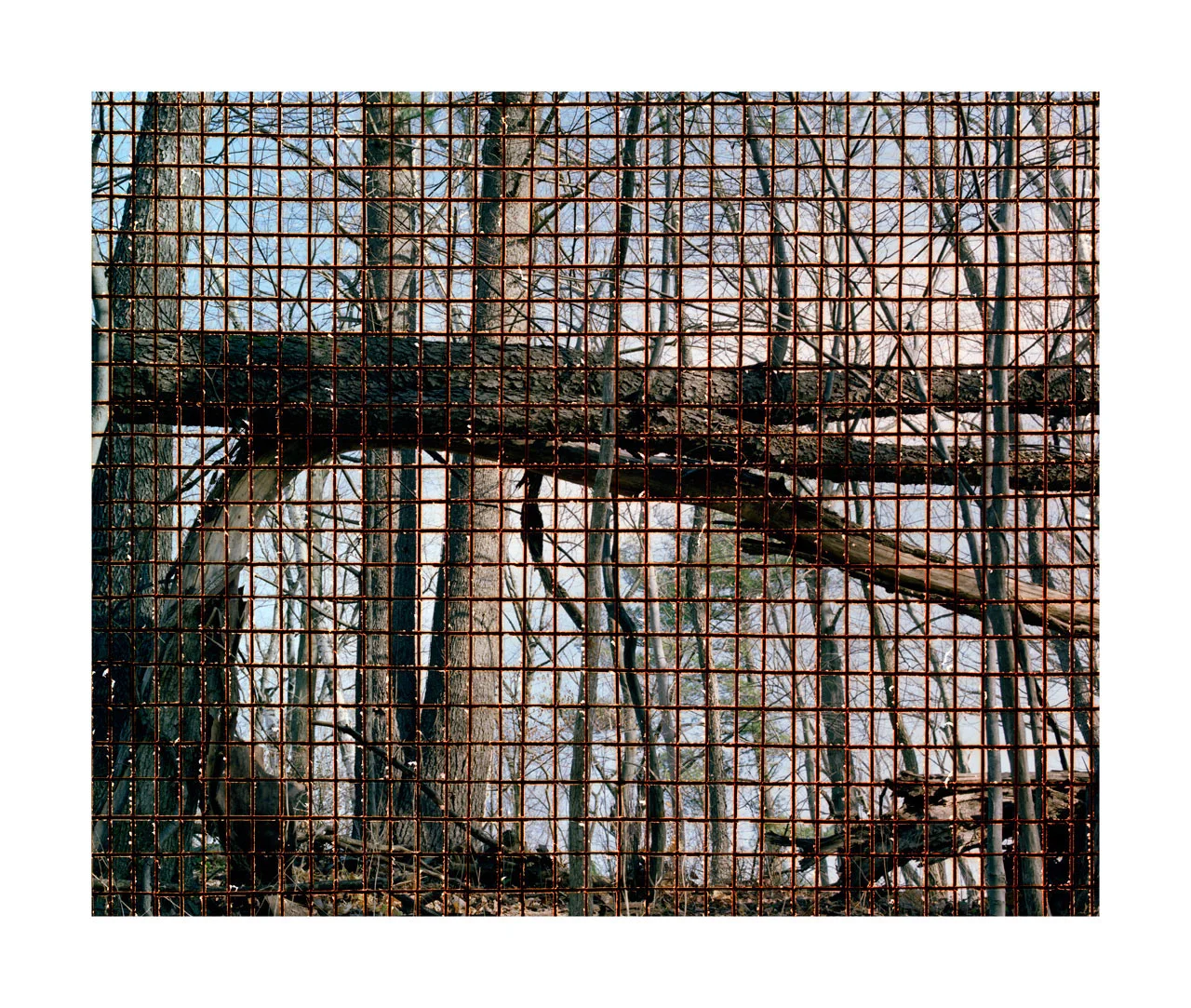 Suburban Anthropocene Landscape (Grid #5), 2013