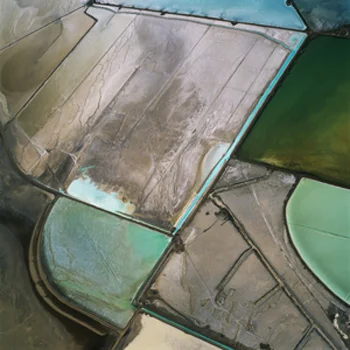 David Maisel "Terminal Mirage 25" Courtesy the artist and Von Lintel Gallery