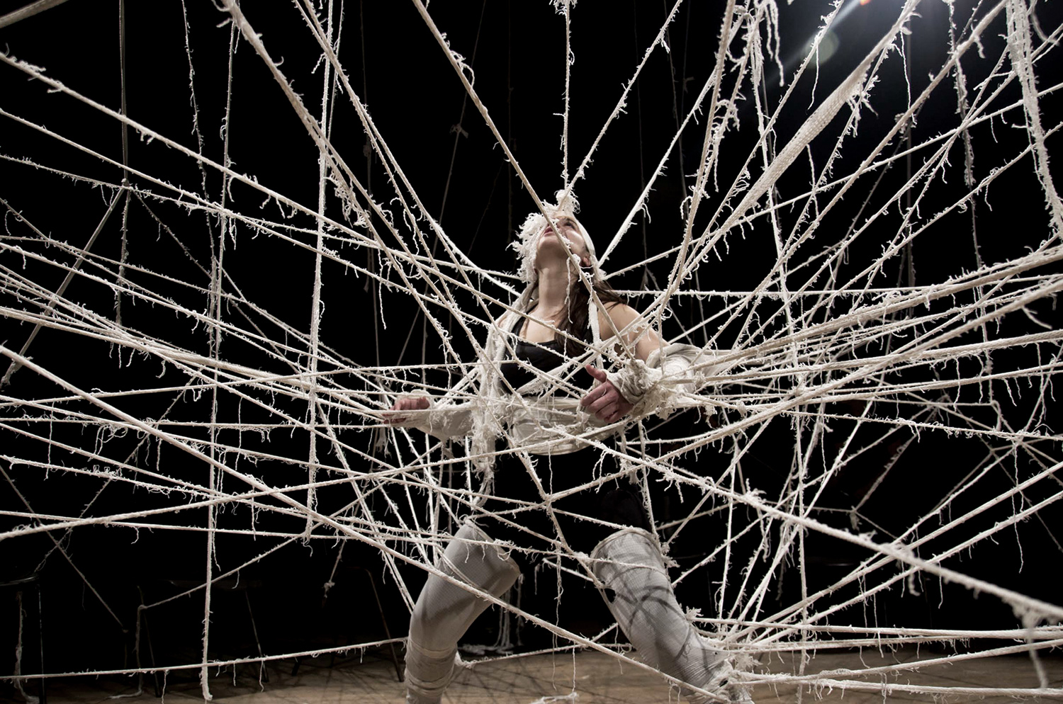 Catalogue Imagery: Strung, by Tanja Beer