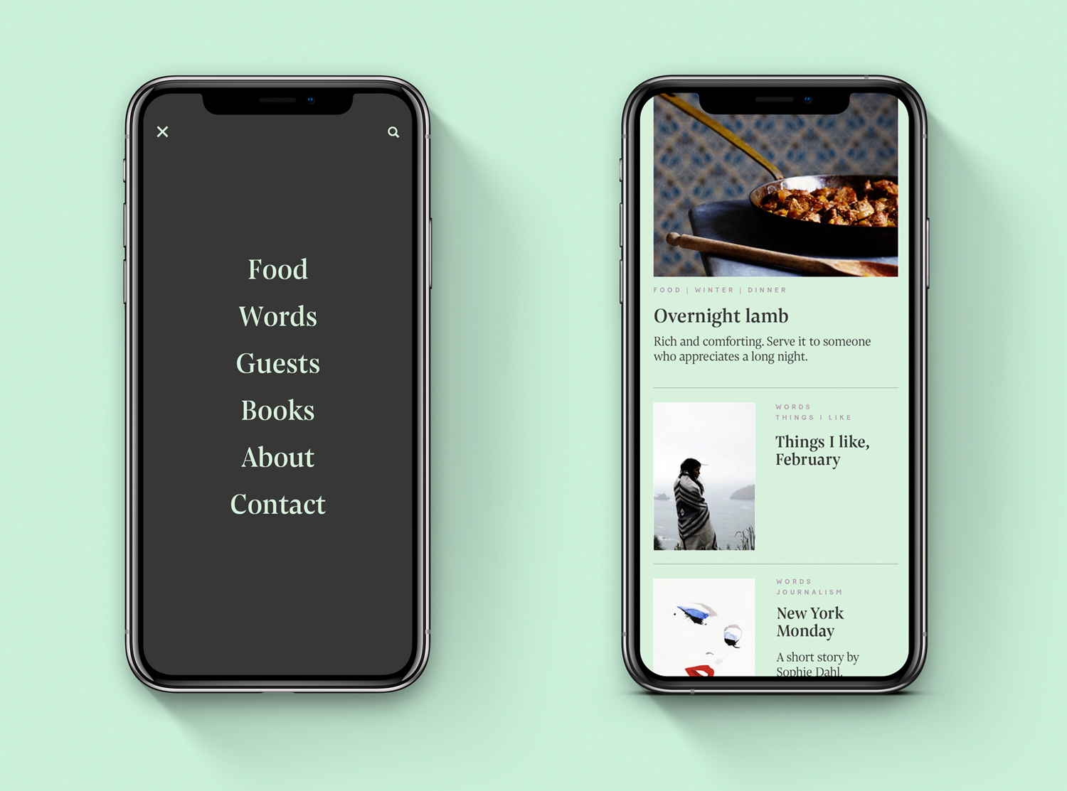 Mobile menu and homepage