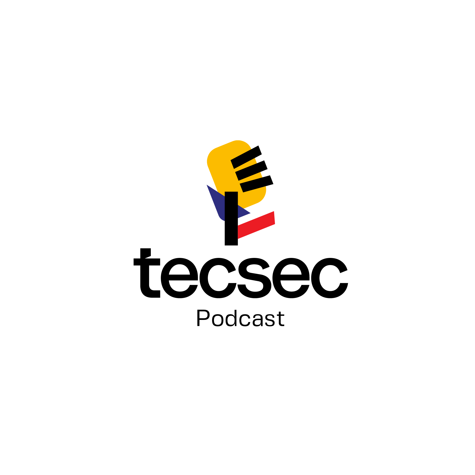 TECSEC_PRINCIPAL_COLORIDO_P.png