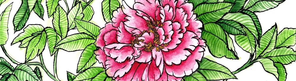 art-scan+3.jpg