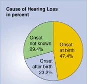 causes hearing loss.jpg