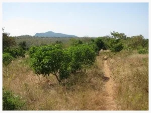 On Benjamin Reese's trip to Central Kenya, he visited an area of extreme drought.