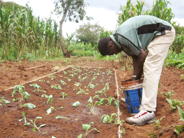 G.O.D. East African cooperative, Rueben Ndwiga, of Kenya, plants crops at the bio-intensive growing workshop. While Rueben has been a farmer his entire life, the methods and techniques introduced to him at this conference enhanced his ability to produce nutritious food for his family. 