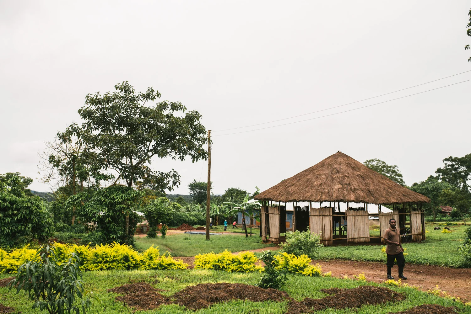 The main objectives of our trip were to evaluate and document our efforts in food production, primary education, and theological education, and to strategize for the upcoming year. This is a view of our land from the entrance. Francis Lubega, G.O.D. Int'l cooperative and master builder, walks home from our outdoor meeting structure. 