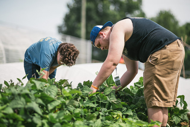 500 middle and high schoolers from around the country come to Nashville for service weeks with SLAM each year. One of the service opportunities they complete is work in a community garden. 
