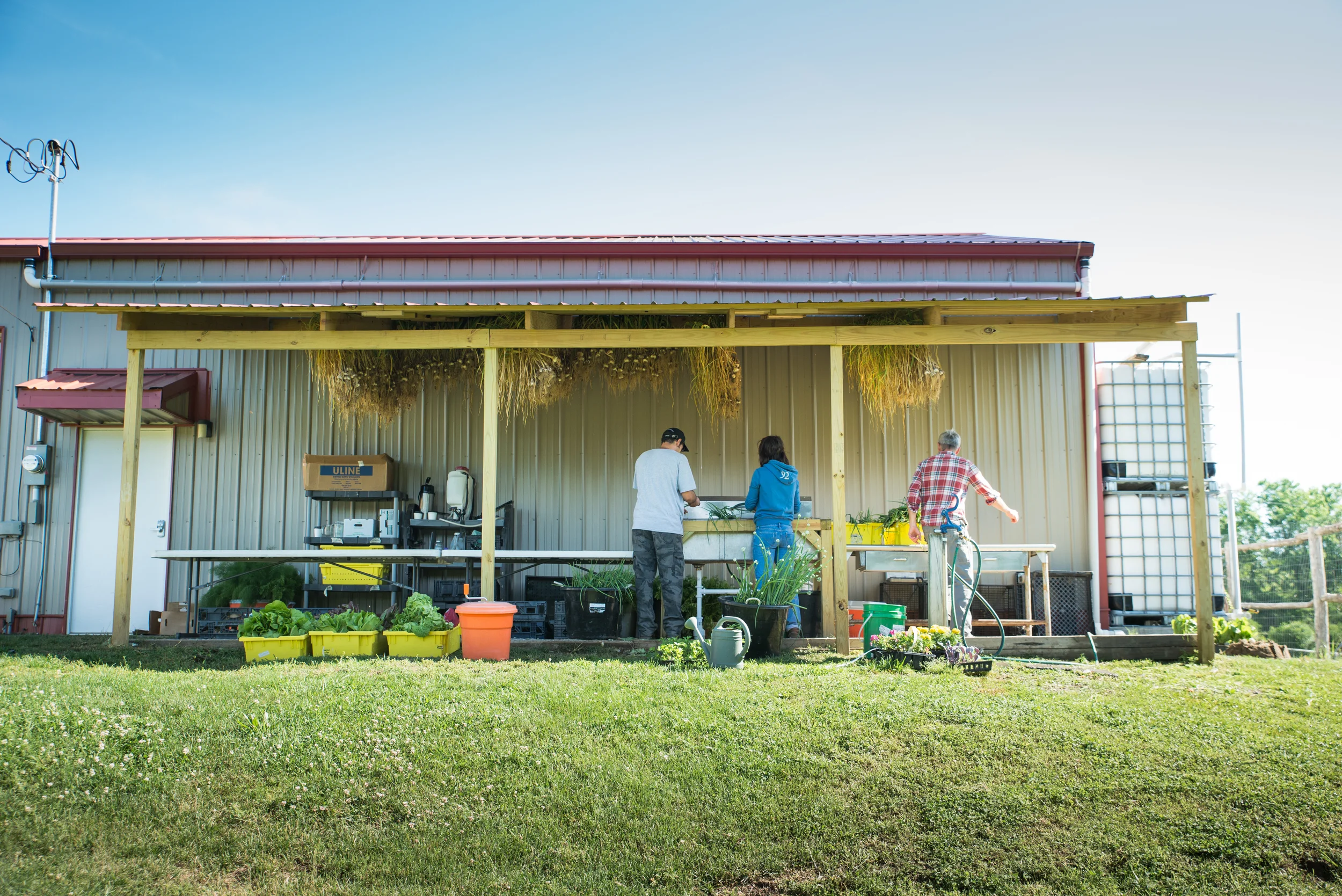We recently constructed a 10’x30’ processing station which provides a shaded area for vegetables to be washed, prepared, and organized for distribution.