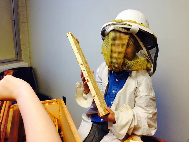 Jeff Sherrod, beekeeper for Hopewell Apiary and teacher at the Academy, brought tools of his trade into the classroom for Exploratory Hour. Students were excited to get to touch and explore without the potential risk of getting too close. He taught them about the social dynamic of the hive, and showed them video footage as well.