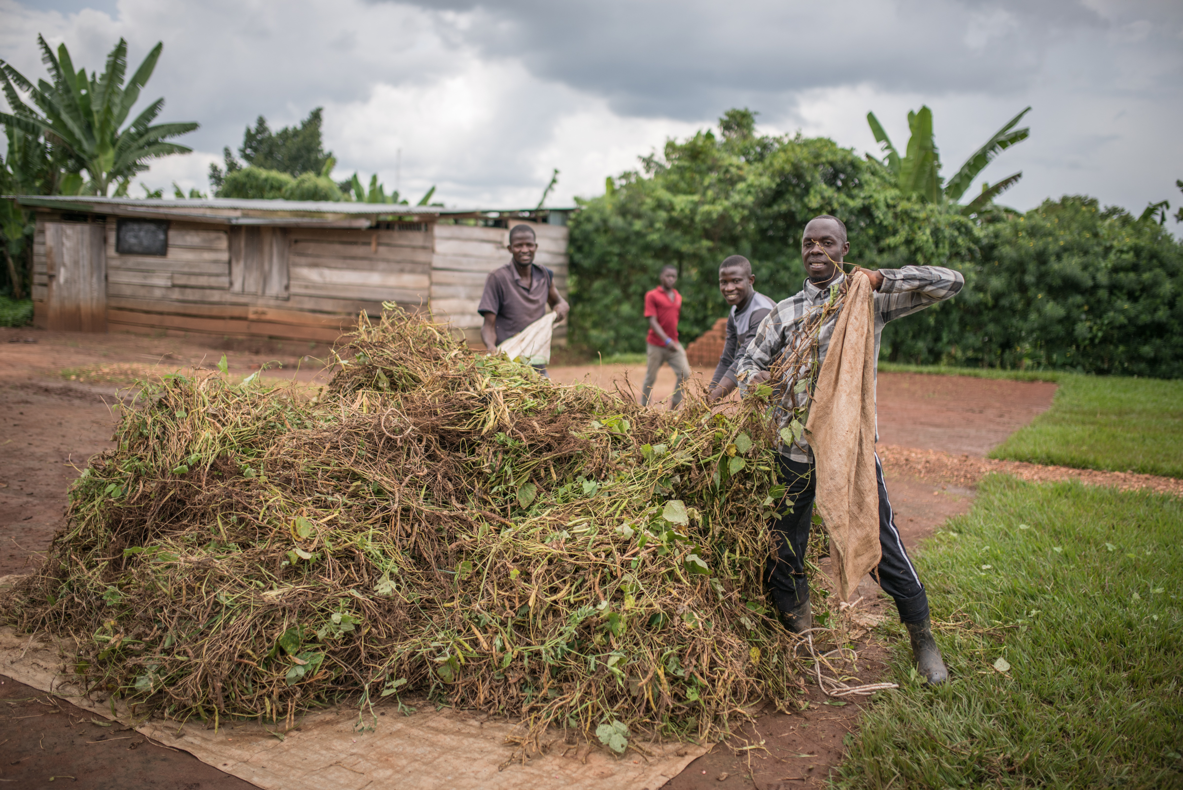 Students from the Institute cleared extra brush from the land, which they gather to be used for composting. 