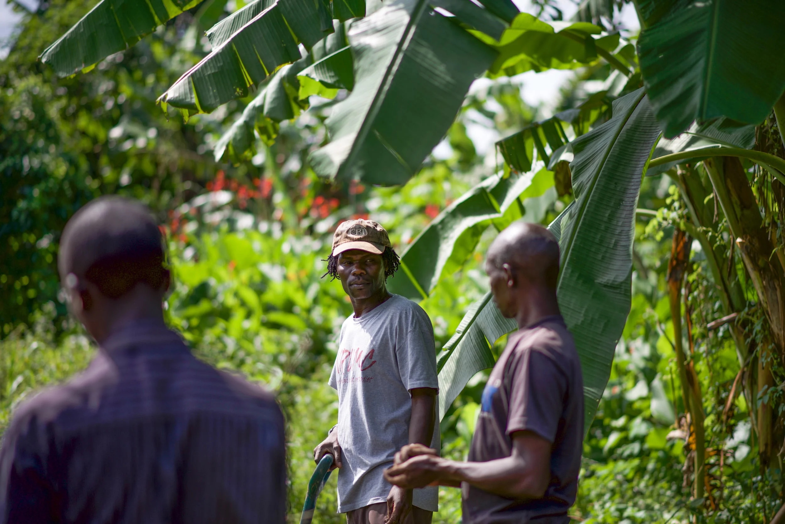 Reuben Ndwiga (center) has transformed his home garden in Kenya, and has trained dozens of neighbors in the methods he's learned. His relocation to Uganda will help our team immensely. 