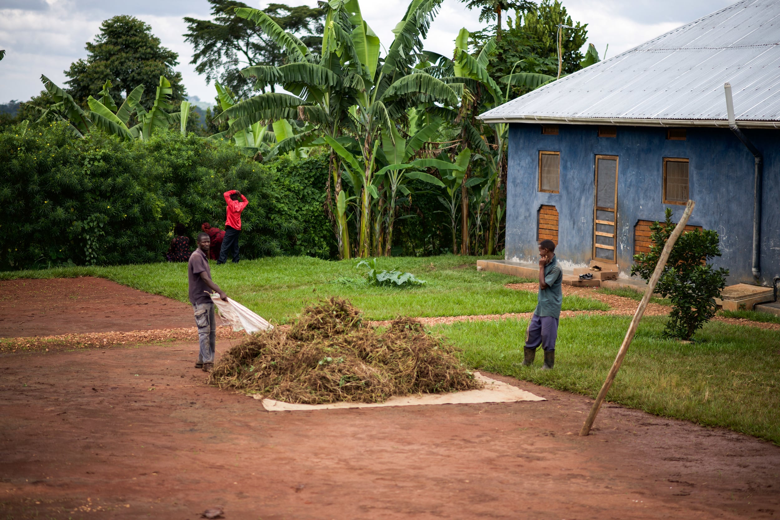 Students from the Institute for G.O.D. EA gather the grass clippings they combined after cutting with a scythe. They will use this for compost to encourage more growing. 