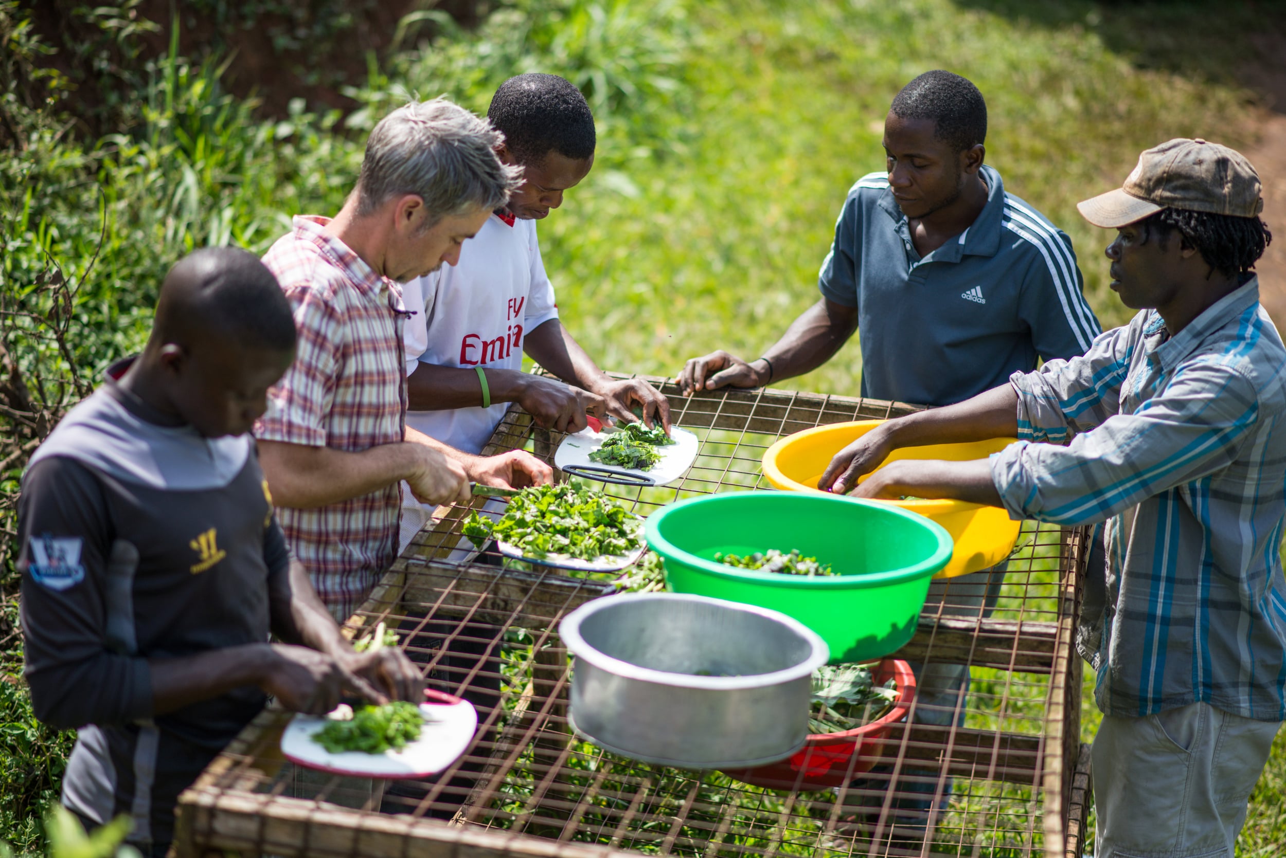 Seth (left middle) and Reuben (far right) help the students process fresh produce and prepare the greens for their first salad. They loved it! 