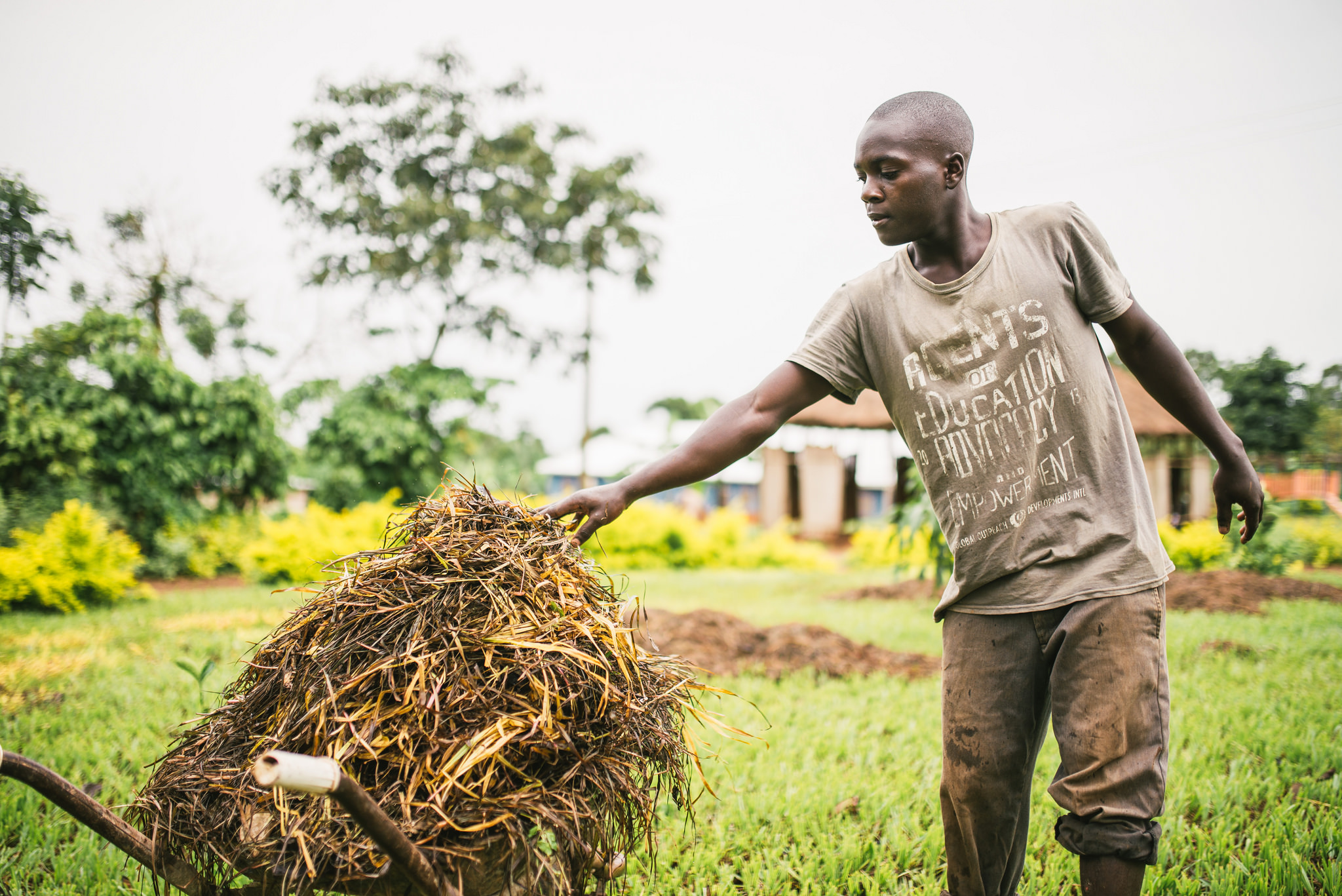 Thatch that needs to be replaced can be gathered and used for mulch or composting in our community garden. 
