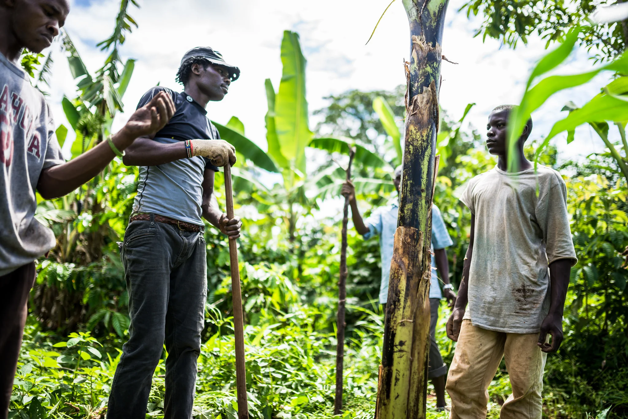Our team of cooperatives and students, and their expertise in regards to agriculture, is the reason we have full confidence in this project. 