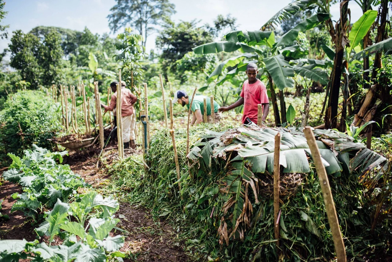 Growing a lot of food requires healthy soil for the plants to grow. The organization of compost allows for organic waste to be utilized to put nutrients into the ground as it deomposes. 