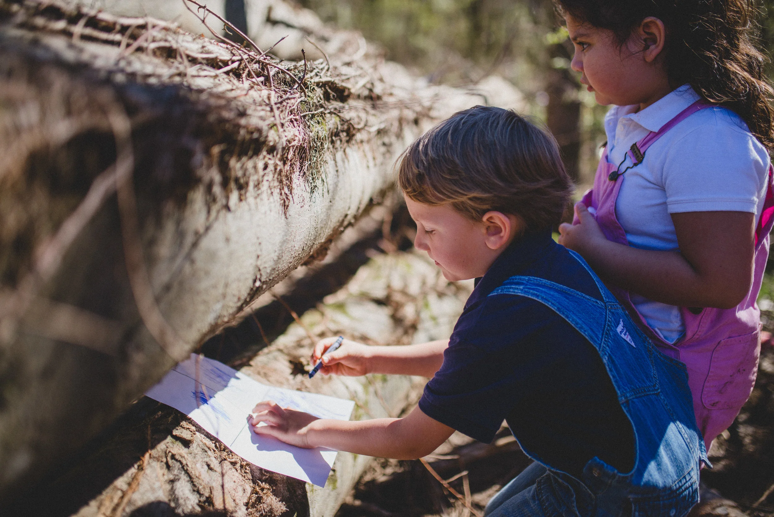 As students explore, they record observations they make when they look more closely at the bugs, flowers, and trees they encounter. 
