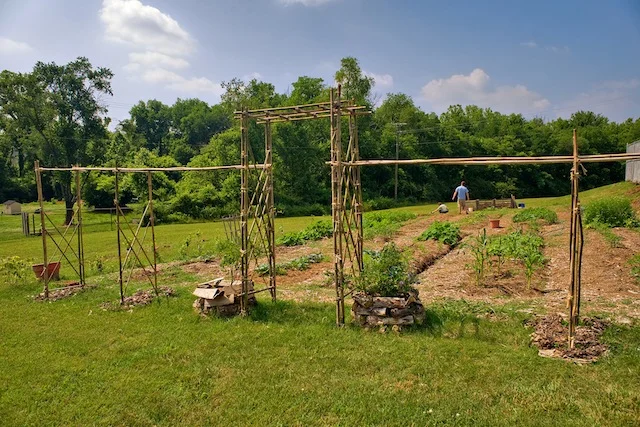 A picture of the garden in 2010, one year after we began our agricultural efforts on our property at our headquarters. 