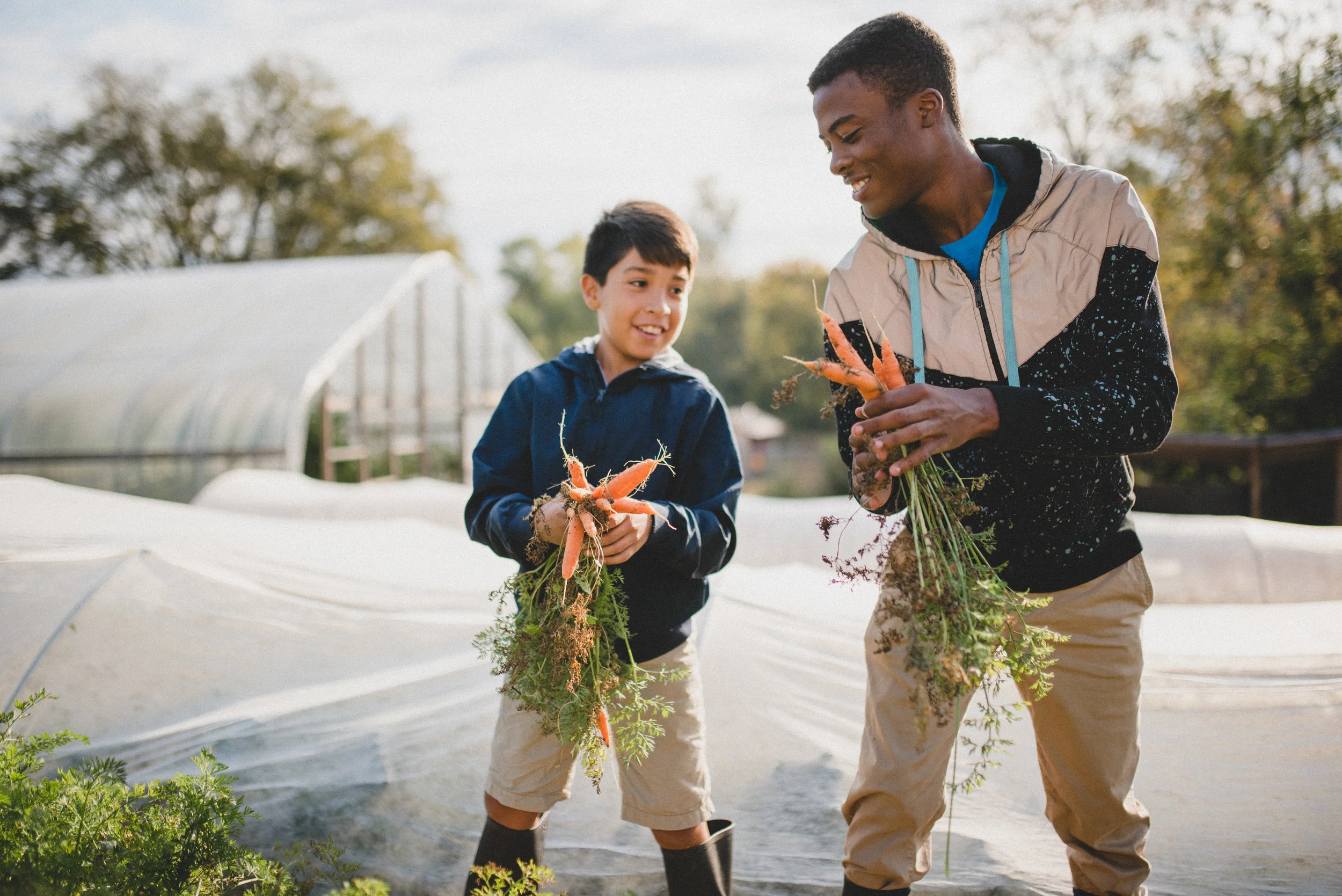 Students at the Academy for G.O.D. harvest carrots during gardening class. Student lunch at the Academy is supplemented by produce grown in the garden. 