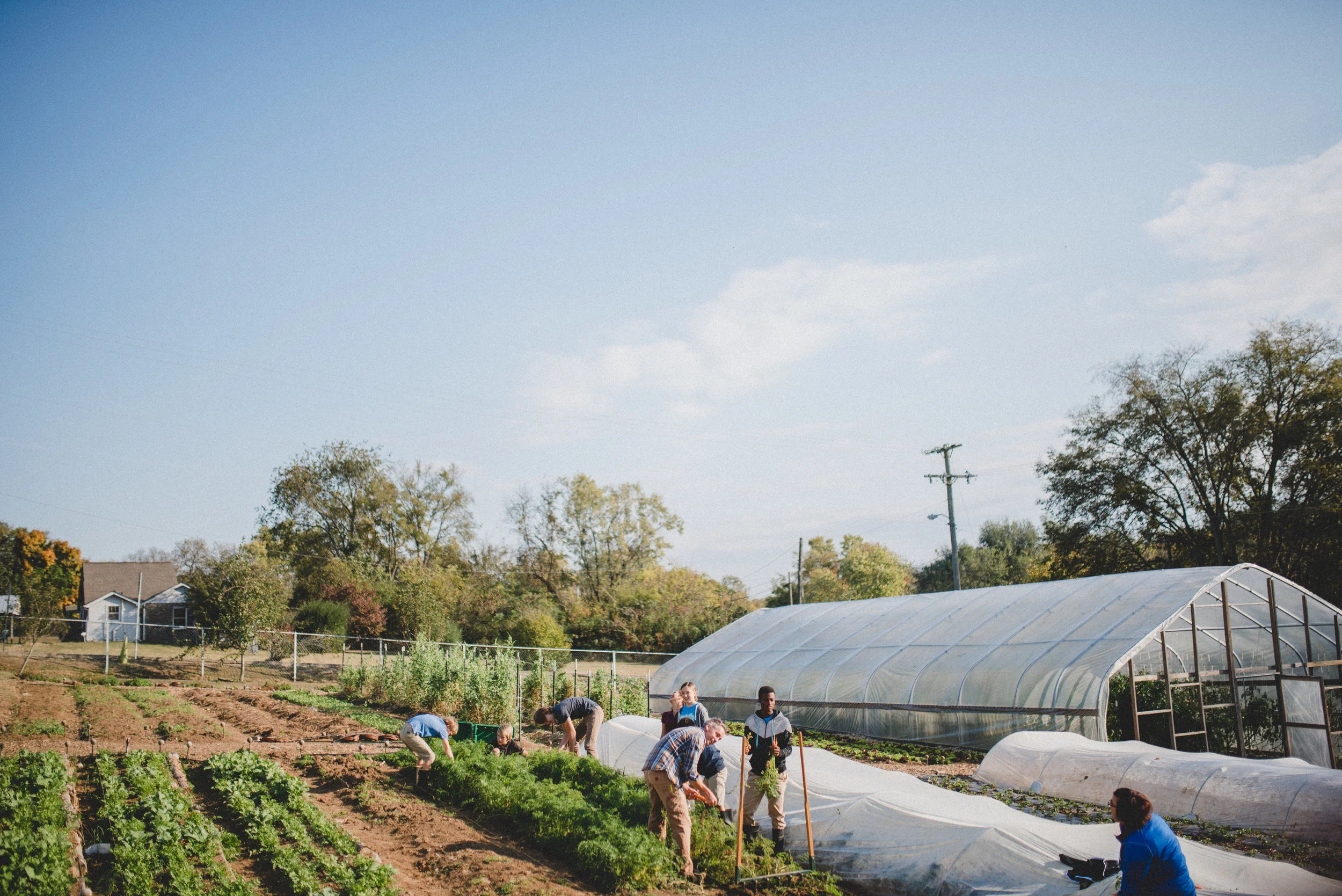 G.O.D. Community Garden, end of 2016.