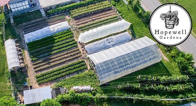 Hopewell Gardens will host one of the Opportunity Now Projects. Participants will learn basic skills of small-scale agriculture. 