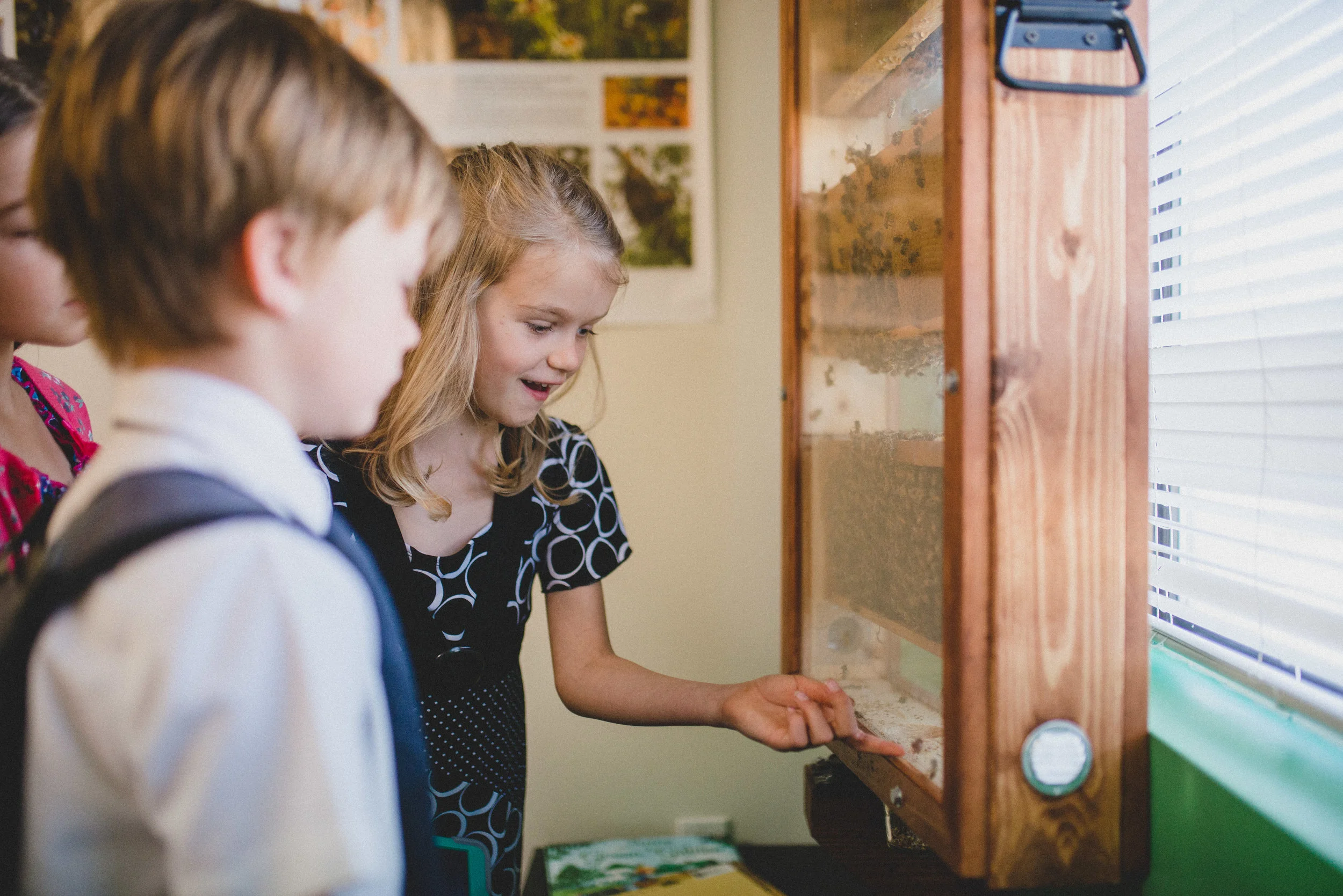 Thanks to the Bee Cause Nashville, this year we installed an INDOOR bee observation hive in our STEM classroom. The students were captivated by the display as they checked out the hive in the mornings or in between classes. The hive is overseen by Hopewell Gardens Apiary and bee keeper, Mr. Jeff Sherrod.