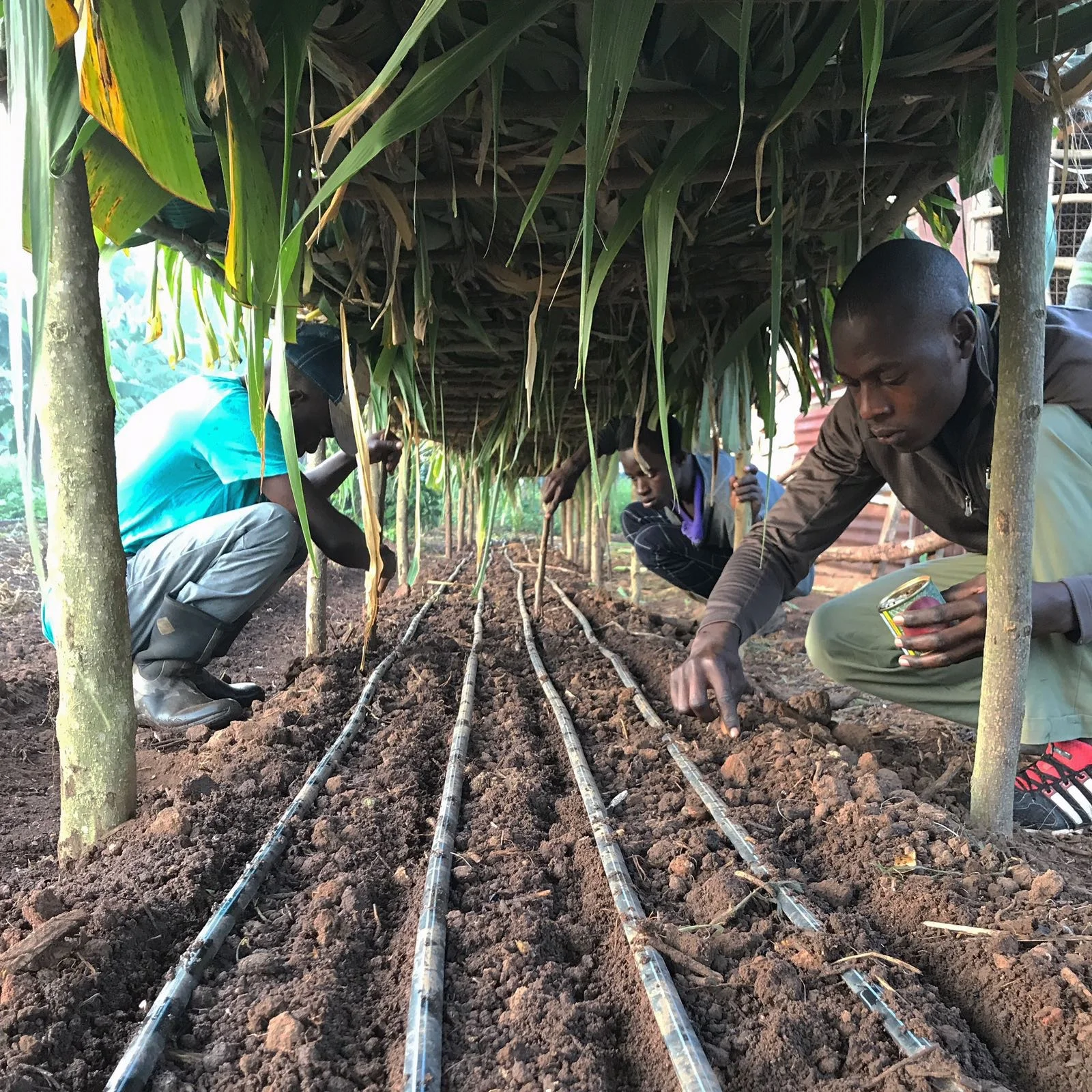 Students got hands-on experience with the practical side of the Institute, with agriculture being one of the focuses they can take at the Institute. 