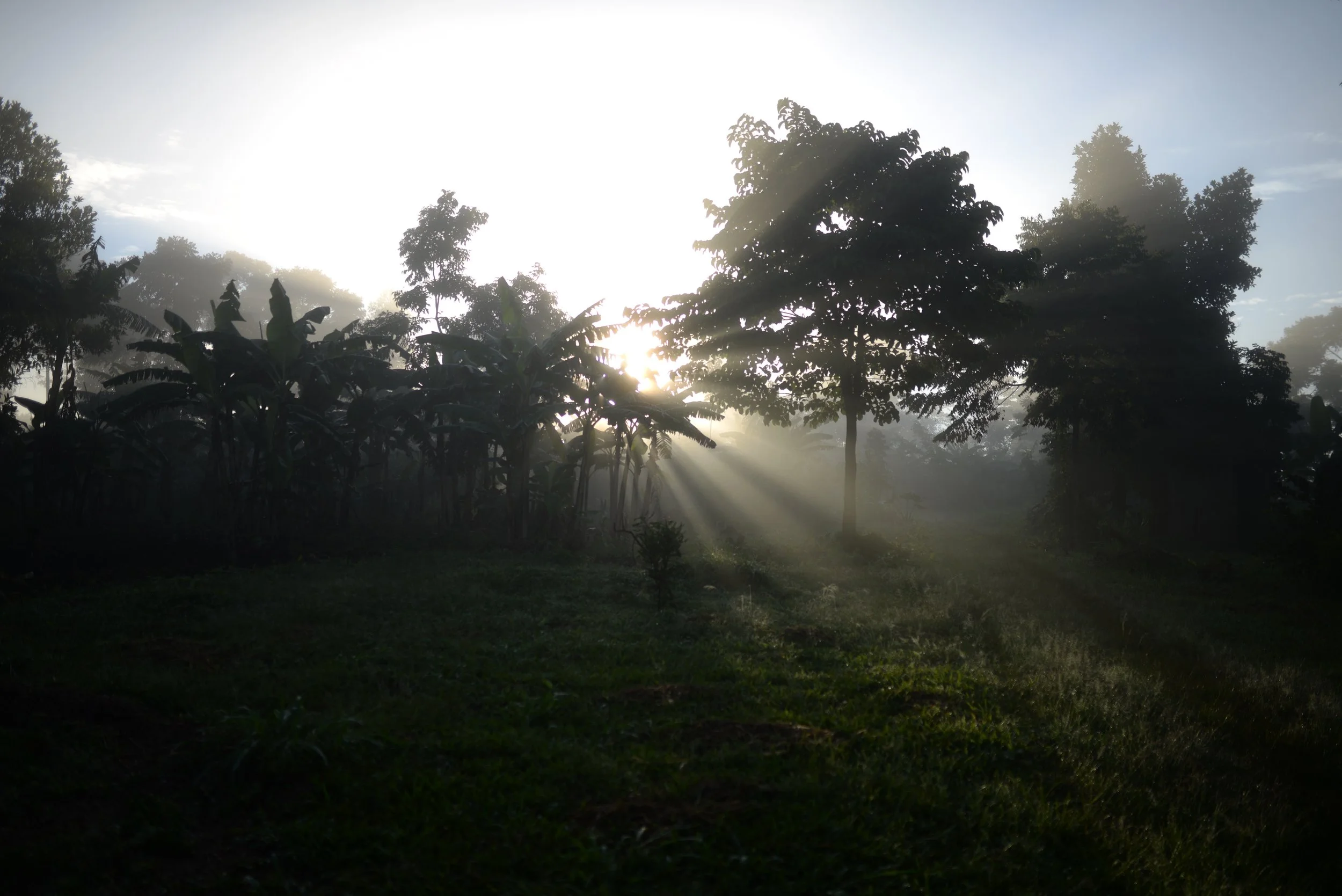 DSC_7034.jpg