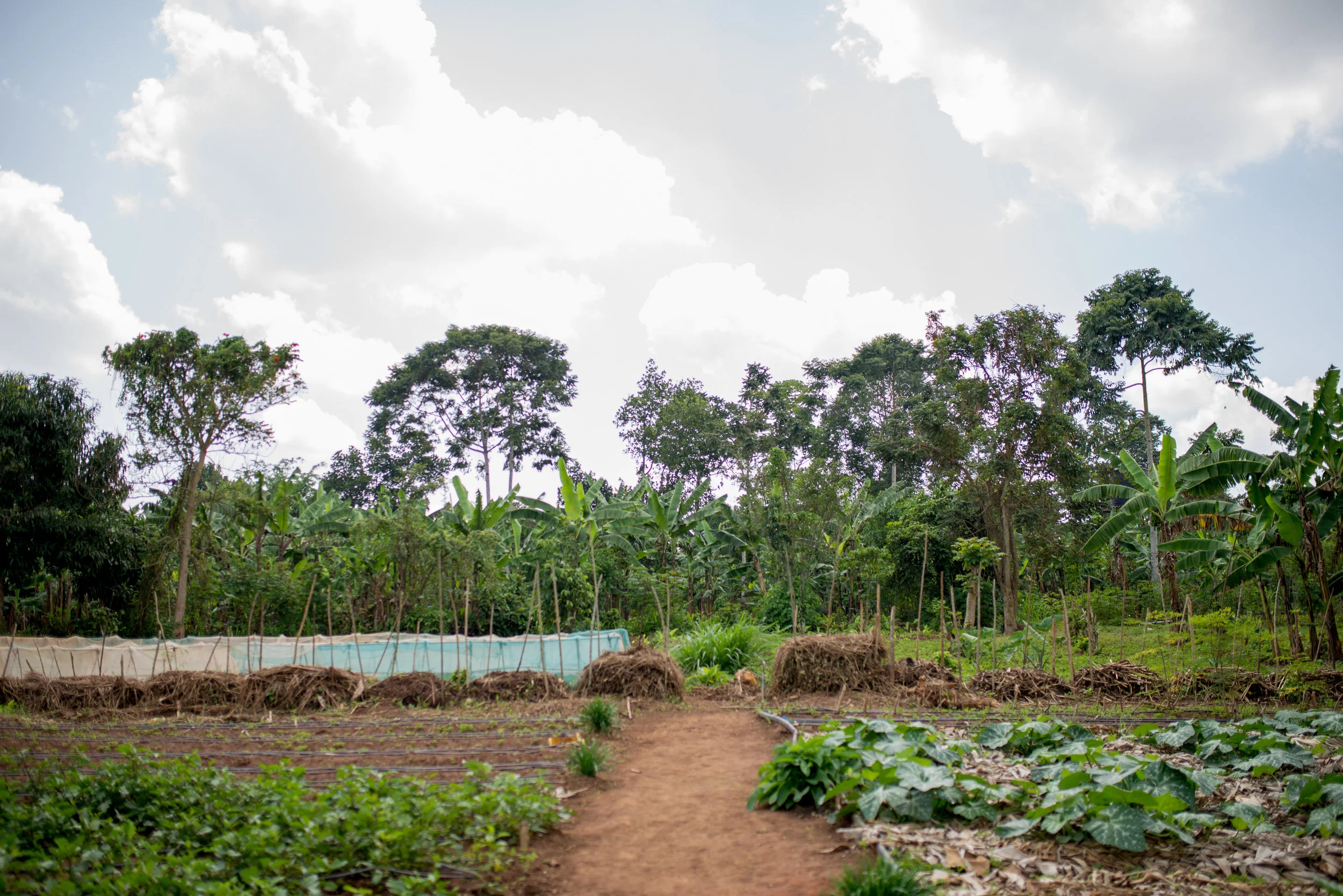 Uganda-Sept2017- (186 of 391).jpg