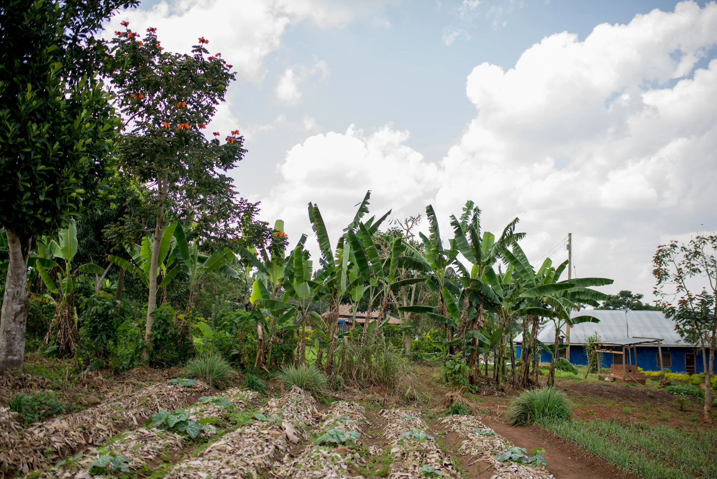 Uganda-Sept2017- (187 of 391).jpg