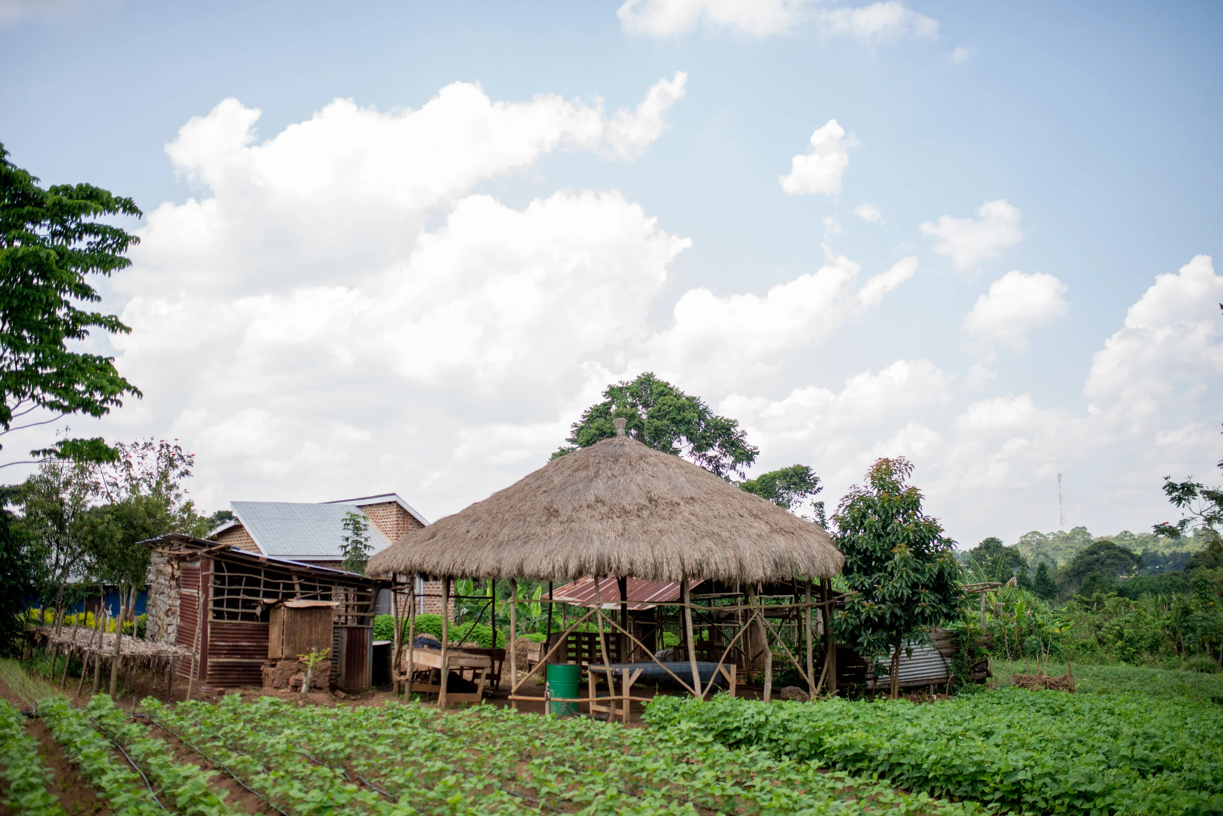 Uganda-Sept2017- (190 of 391).jpg