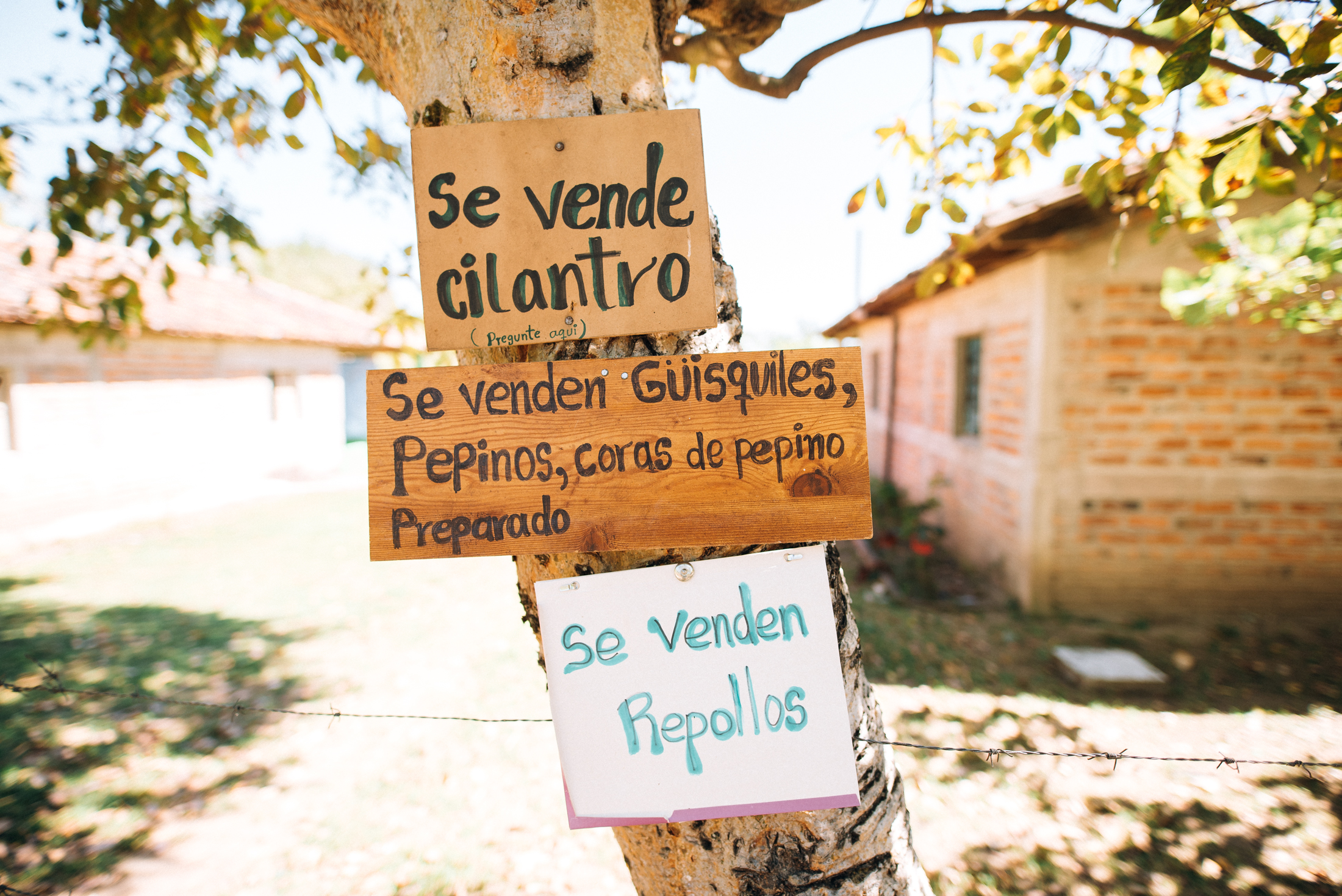 El Salvador Digital-1186.jpg