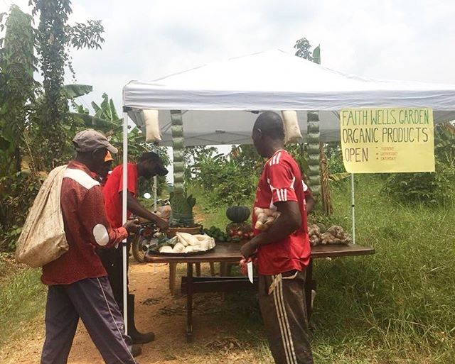 A new produce tent has opened in Uganda, offering education and organic vegetables to our neighbors. The Faithwells Garden stand is introducing new products like moringa and amaranth flours, and teaching about the nutritional benefits, along with kale, peppers, pumpkin and more. We are so happy for this blessing to be shared, and encouraged by the response on opening day!
#godeastafrica #godintl #foodproduction #organicgrowing #education #neighbors #uganda