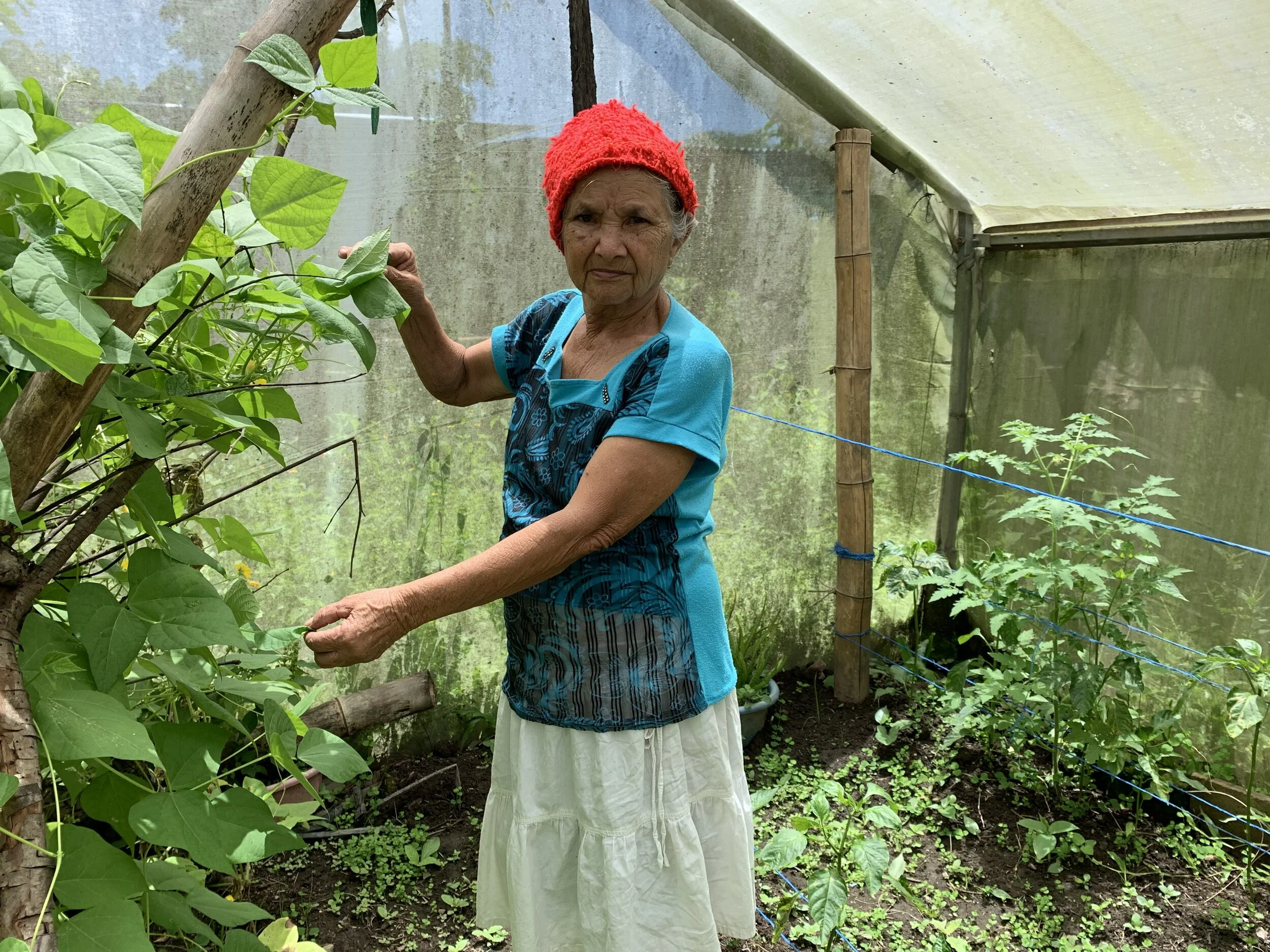 Nina Maria gives a tour of her garden, sharing her stories of times during the war when she would travel with a band of troubadours to sing for those who were fighting, right up to her current ministry: sharing plants and food with those who are in need, and encouraging them through prayer.