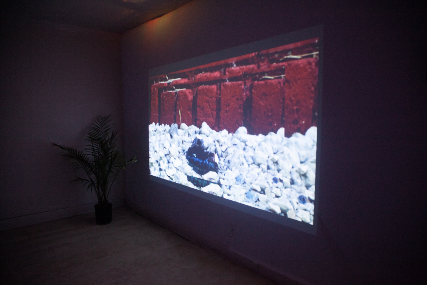 Mind_Body_03_09_19 (12 of 54).jpg