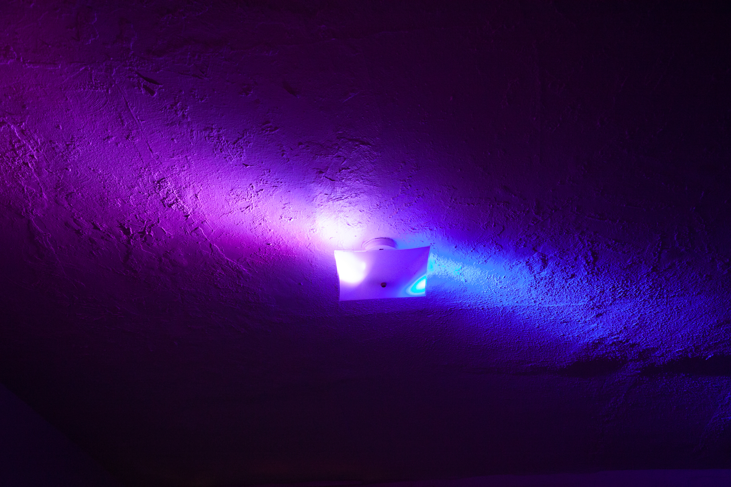 Mind_Body_03_30_19 (86 of 119).jpg