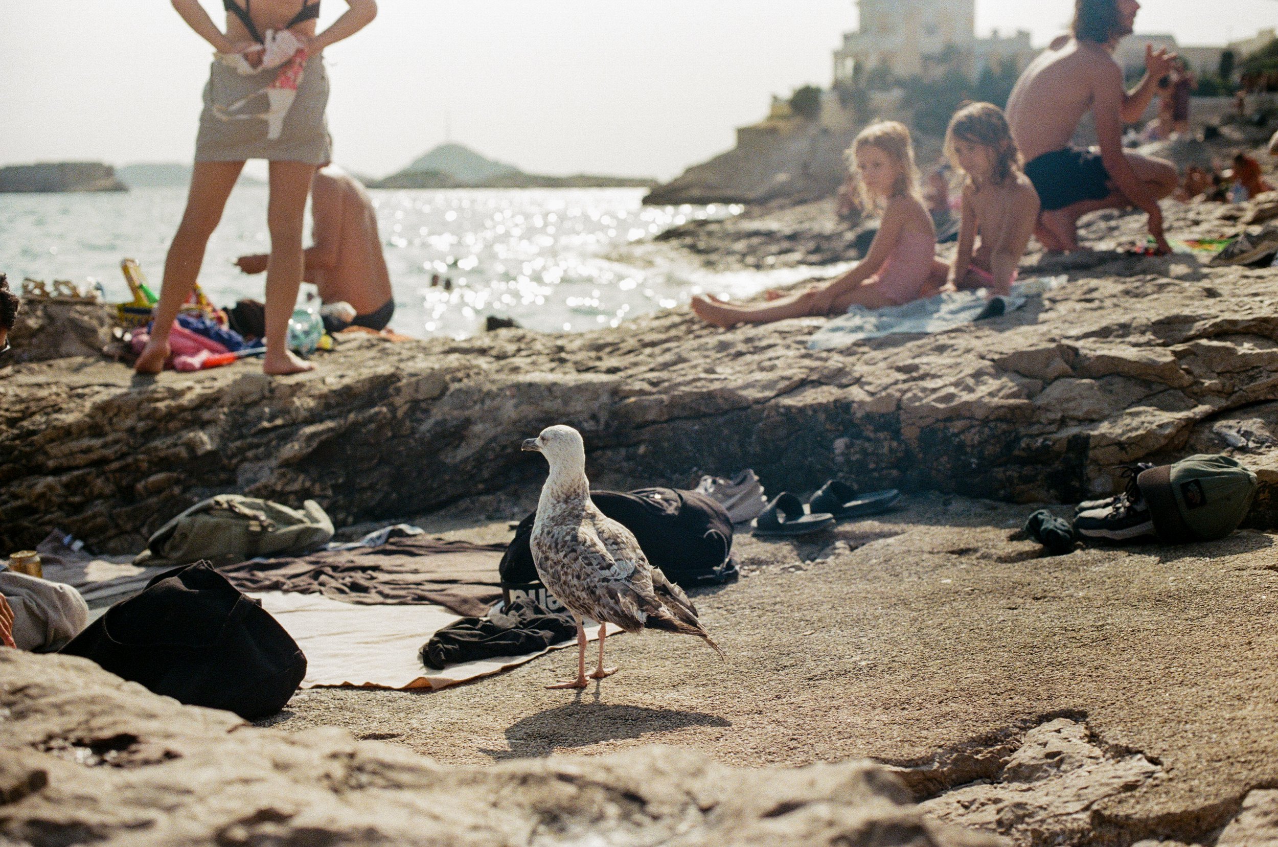 000067910023 (1).jpeg