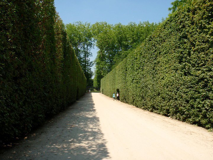 Versailles Palace, Versailles, 2010