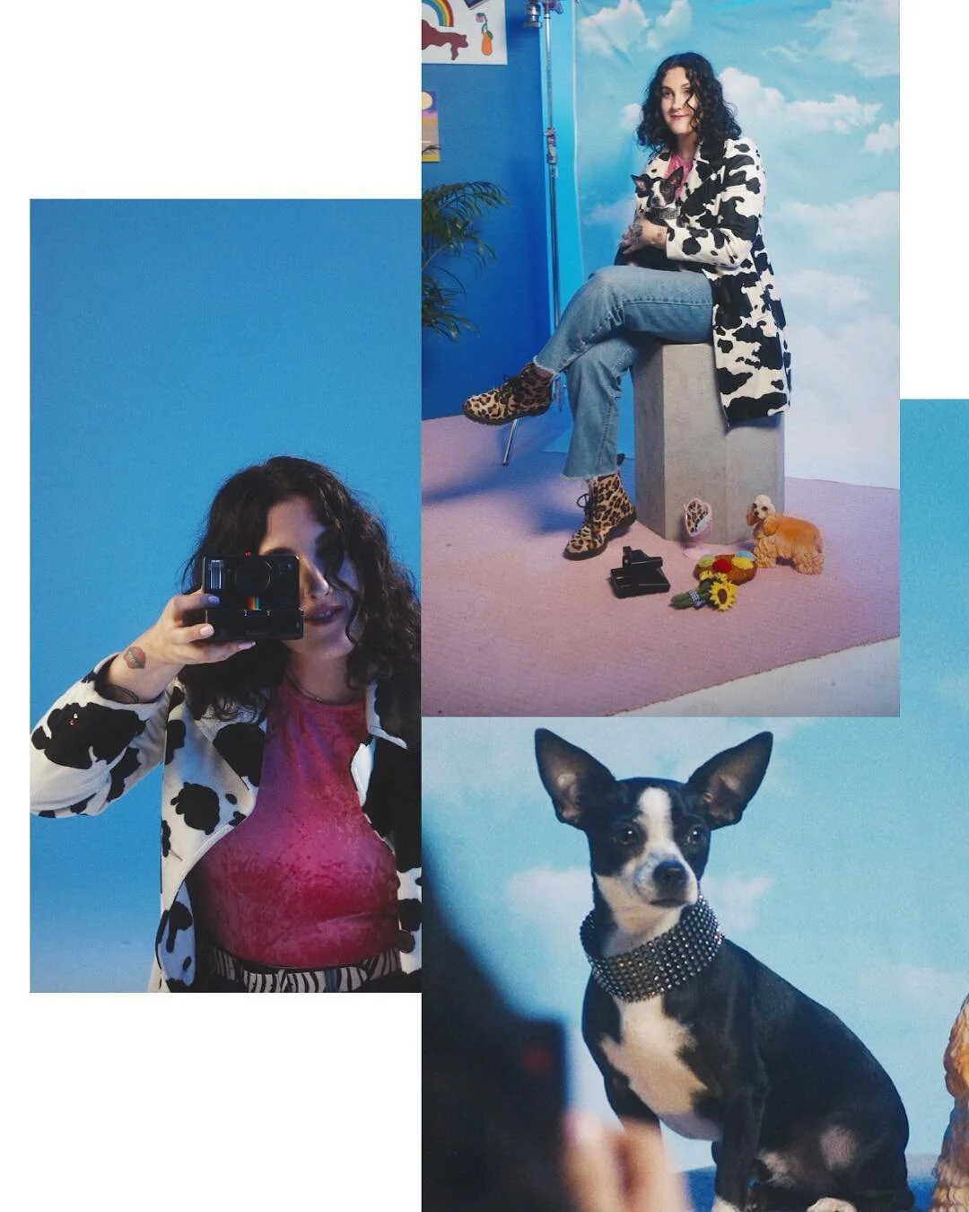 The time I shot a real life mogwai