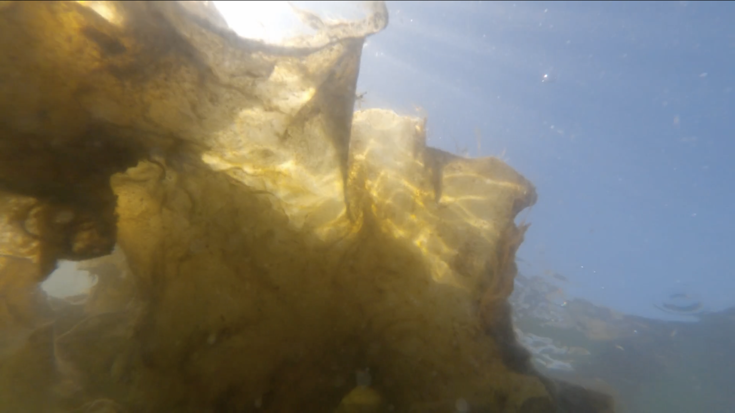 Screenshot 2026-03-06 at 12.14.38 AM.png