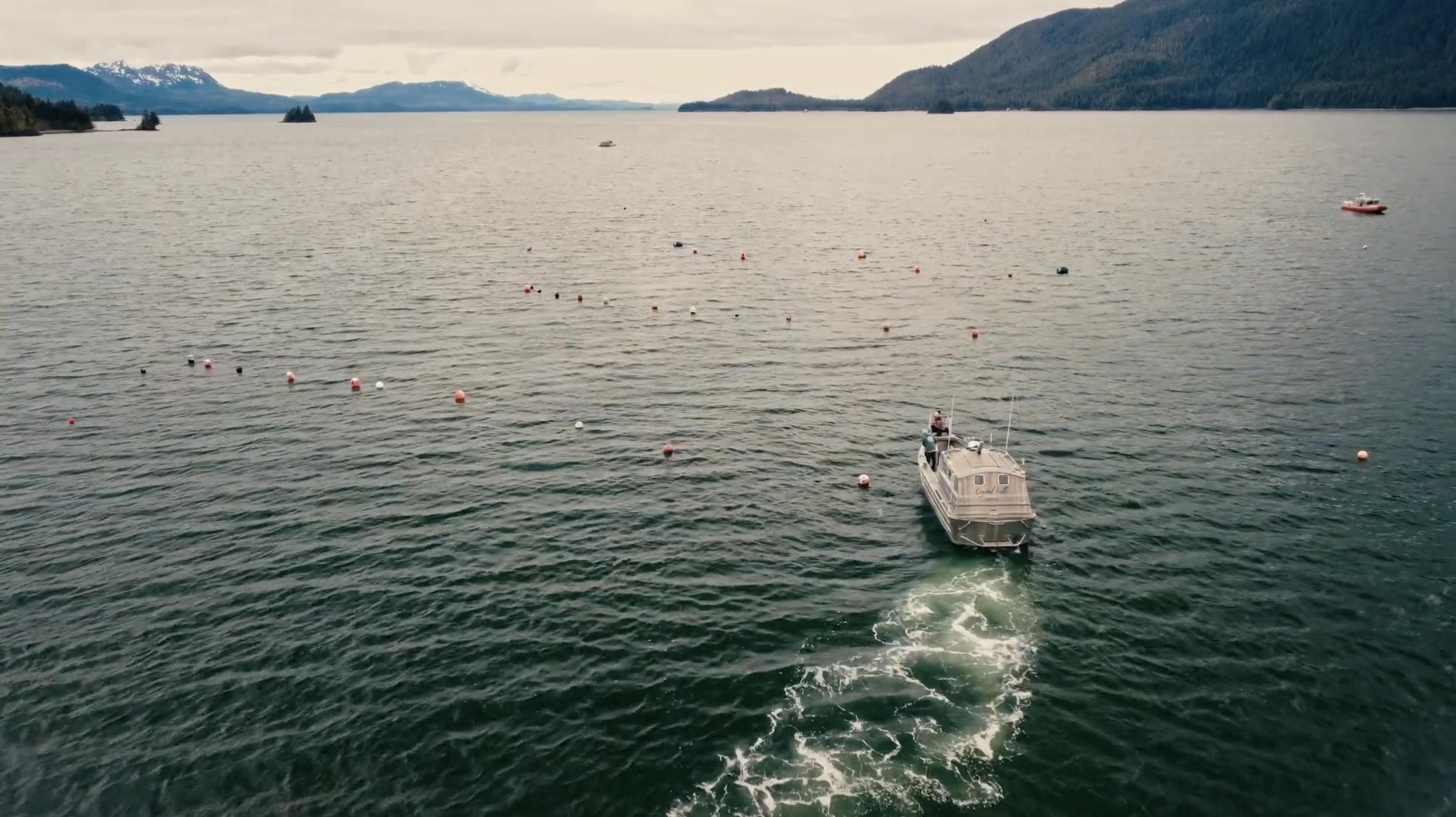 Screenshot 2026-03-06 at 12.13.00 AM.png