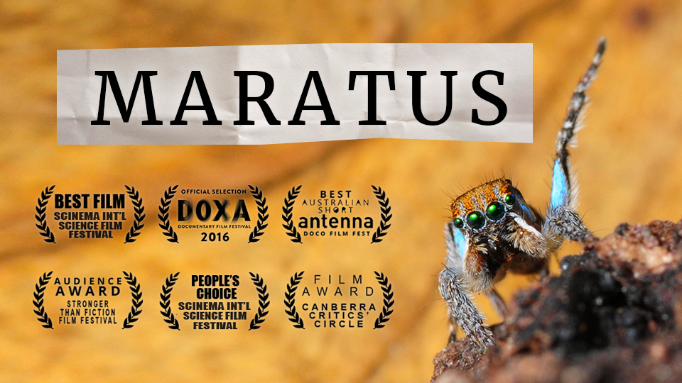 MARATUS:  a docu-mystery (2015)