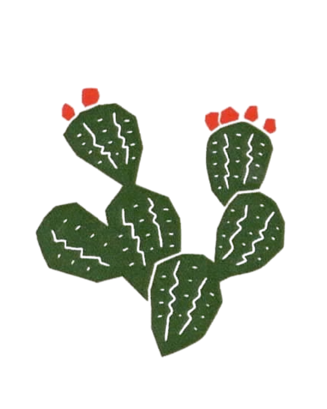 the cacti lady logo