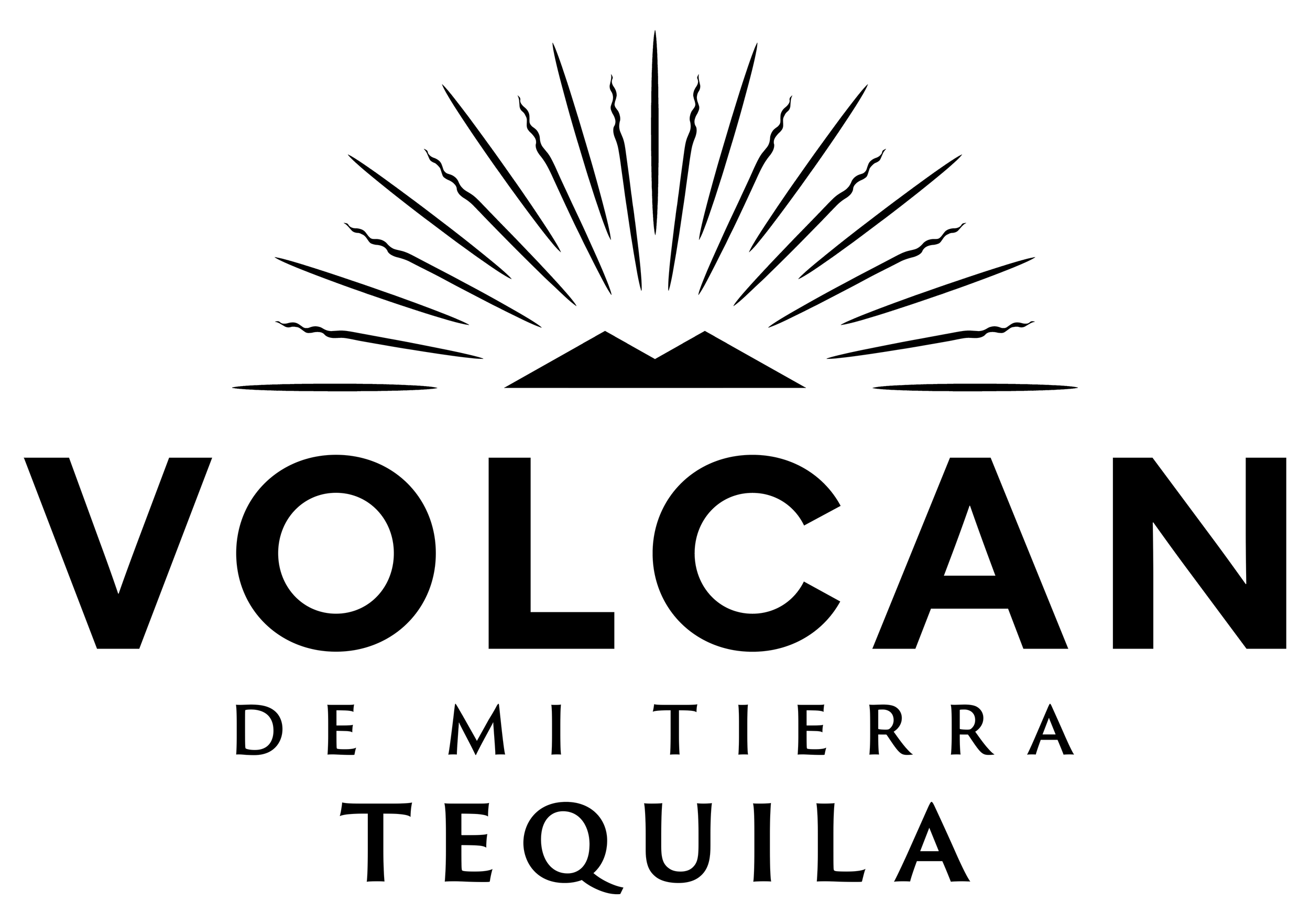 volcan logo